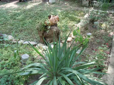 a fire hydrant in a garden with a plant at Apartmani Sobe BILJANA in Arandjelovac