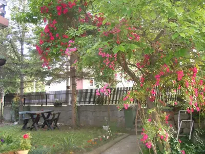 a picnic table under a tree with pink flowers at Apartmani Sobe BILJANA in Arandjelovac