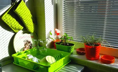 a window sill with potted plants in green trays at Apartment Greenfield in Belgrade