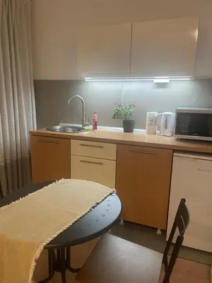 a kitchen with a sink and a counter top at Slavija Square Apartments in Belgrade