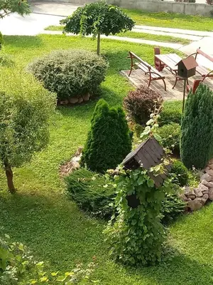 a garden with a bench and trees and bushes at Apartment Flora Arandjelovac in Arandjelovac