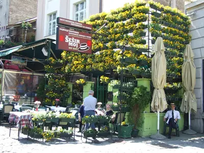 a man standing in front of a building with flowers at Enjoy Belgrade in Belgrade