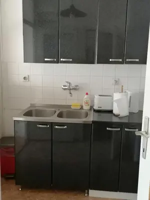a kitchen with black cabinets and a sink at Danube Apartment in Belgrade
