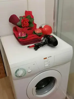 a washing machine with flowers on top of it at Danube Apartment in Belgrade