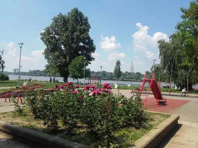 a park with pink flowers and a playground at Danube Apartment in Belgrade