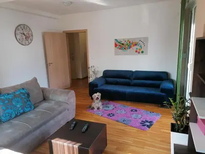 a living room with a couch and a dog on a rug at Shumice Apartment in Belgrade