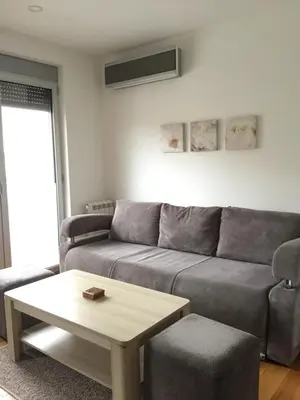 a living room with a couch and a coffee table at Lazic Apartment in Belgrade