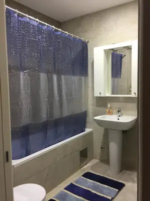 a bathroom with a tub and a sink and a shower at Lazic Apartment in Belgrade