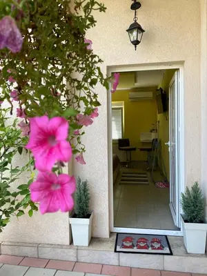 a house entrance with pink flowers in front of it at Maslina Rooms in Smederevo