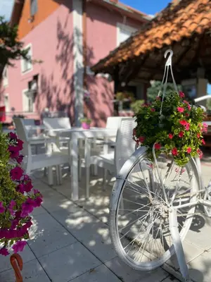 a bike with a basket full of flowers on a patio at Maslina Rooms in Smederevo