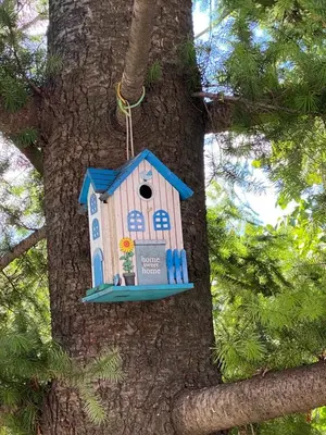 a bird house hanging from a tree at Maslina Rooms in Smederevo