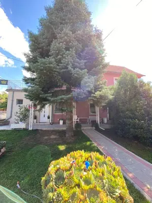 a flower bed in front of a house with a tree at Maslina Rooms in Smederevo