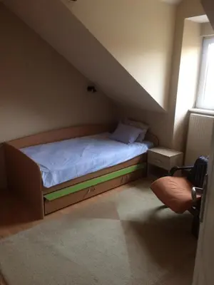 a small bedroom with a bed in a attic at Aleksandar Apartment in Pančevo