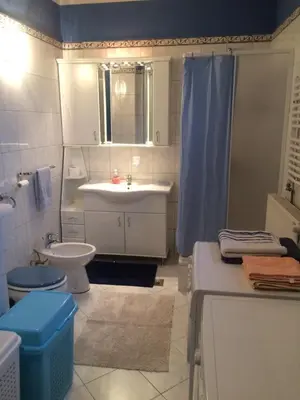 a bathroom with a sink and a toilet and a shower at Aleksandar Apartment in Pančevo