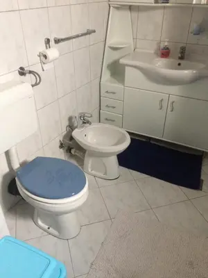 a bathroom with a blue toilet and a sink at Aleksandar Apartment in Pančevo
