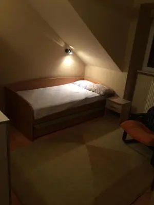 a small bedroom with a bed in the attic at Aleksandar Apartment in Pančevo