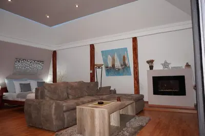 a living room with a couch and a fireplace at Blue Danube Apartment in Belgrade