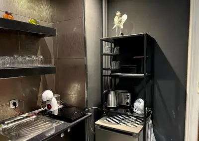 a small kitchen with a sink and a stove at Princ Apartment in Belgrade