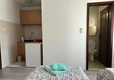 a kitchen with a sink and a toilet in a room at Apartman Centar BB in Pančevo