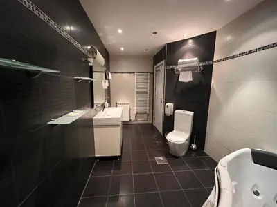 a bathroom with a toilet and a sink at Vila Srbija Beograd in Meljak
