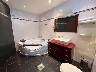 a bathroom with a tub and a sink and a toilet at Vila Srbija Beograd in Meljak
