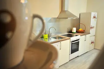 a kitchen with a sink and a stove at Apartment Sovica in Belgrade