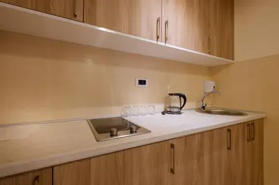 a kitchen counter with a sink and a mixer at Airport Hotel Garni in Belgrade