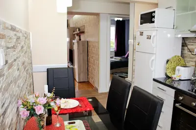 a kitchen and living room with a table with flowers on it at Kristi Lux Apartment Center Free Parking Fast WiFi in Belgrade