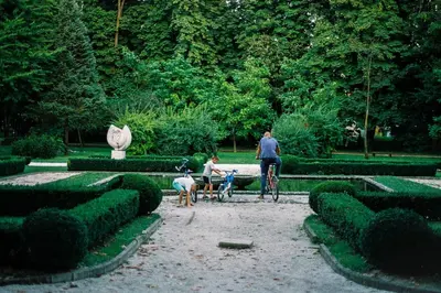 a man on a bike and two dogs in a park at Apartmani15 in Arandjelovac
