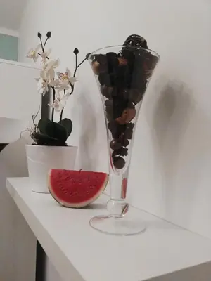 a glass vase with rocks and a slice of watermelon at Sleep and Go Pedja in Belgrade