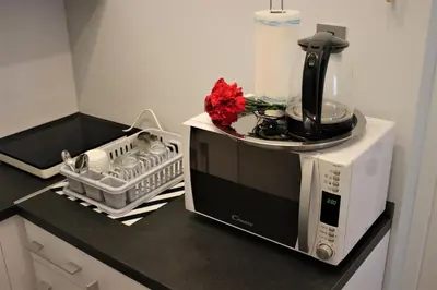 a kitchen counter with a coffee maker and a microwave at Apartment Skadarlija FREE parking in Belgrade