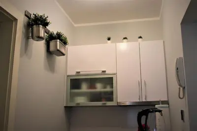 a kitchen with white cabinets with potted plants on them at Apartment Skadarlija FREE parking in Belgrade