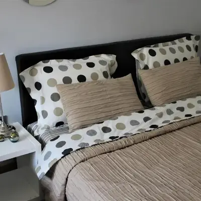 Apartment Skadarlija FREE parking