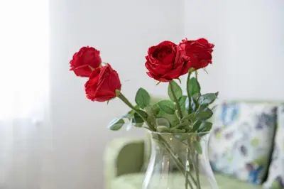 three red roses in a vase on a table at Central Belgrade Apartment 4 in Belgrade
