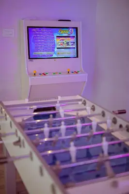 aintendo wii game being played in a room at #1 Lux Villa with Pool, Gameroom, Spa, Zen Yard #Free airport transport# in Belgrade