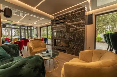 a living room with chairs and a fireplace at Hotel Spa Grad in Kovin