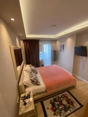 a bedroom with a bed and a television in it at Apartman Skadarlija in Belgrade