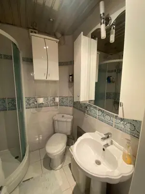 a bathroom with a toilet and a sink and a shower at Apartman Skadarlija in Belgrade