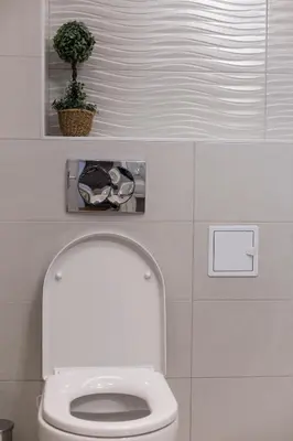 a bathroom with a toilet with a plant above it at Dia Belgrade Arena Apartment in Belgrade