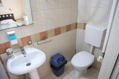 a bathroom with a sink and a toilet at Marex Centar in Jabuka