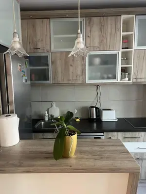 a kitchen with wooden cabinets and a potted plant on a counter at Orchid House in Belgrade