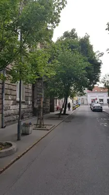 a street with trees on the side of a road at Blue Box Apartment in Belgrade