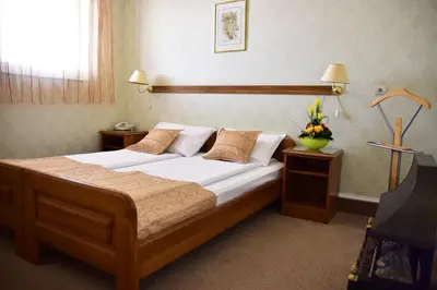 a bedroom with a large bed in a room at Garni Hotel Lav in Belgrade