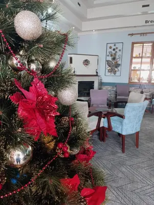 a christmas tree with red decorations in a living room at Garni Hotel Lav in Belgrade
