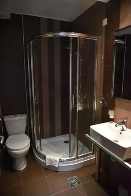 a bathroom with a shower and a toilet and a sink at B&B Park in Sremčica