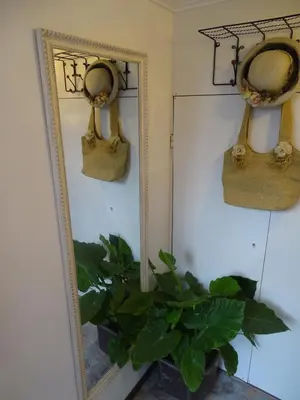 a mirror with a potted plant in a room at Meda Apartment in Belgrade