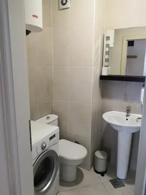 a bathroom with a washing machine and a sink at Ana's Apartment in Belgrade