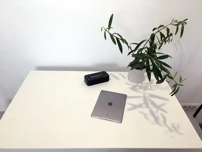 a white table with a laptop and a potted plant at Apartment Auer_Belgrade in Belgrade
