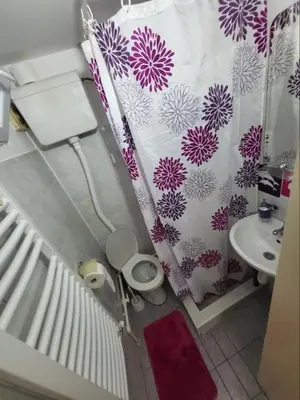a small bathroom with a toilet and a sink at Apartment Aqua Royal in Arandjelovac