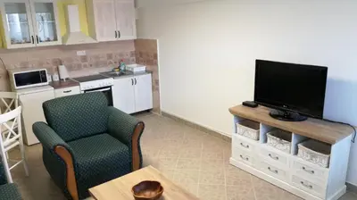a living room with a television and a kitchen at Apartment Aqua Royal in Arandjelovac